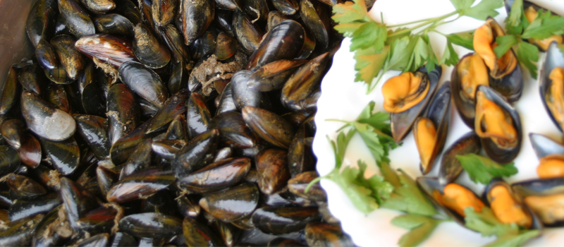 Moules de Bouchots ©Triballier - CDT17