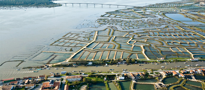 Les bassins de Marennes