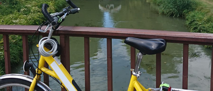 Les chemins de halage du canal de la Garonne servent de pistes cyclables.