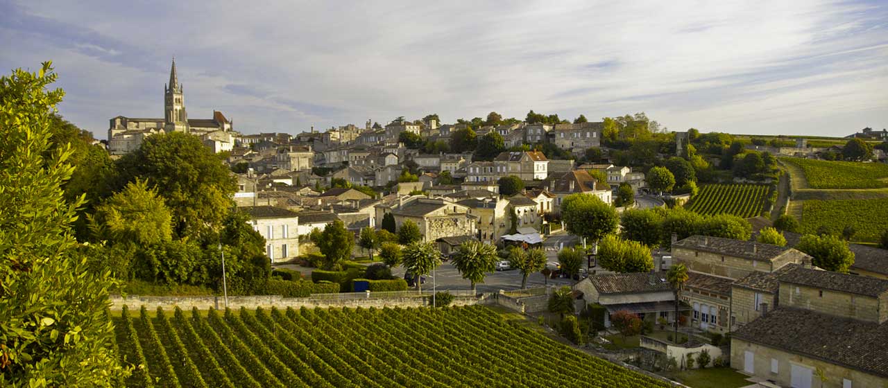 Entdeckungstour durch die schönsten Weinberge rund um Bordeaux und Cognac