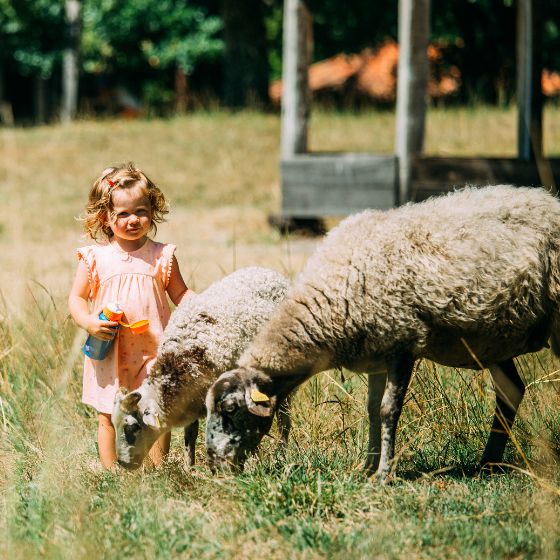 Viajar de un modo sostenible y responsable por Nouvelle-Aquitaine: los 10 hábitos que se deben adoptar