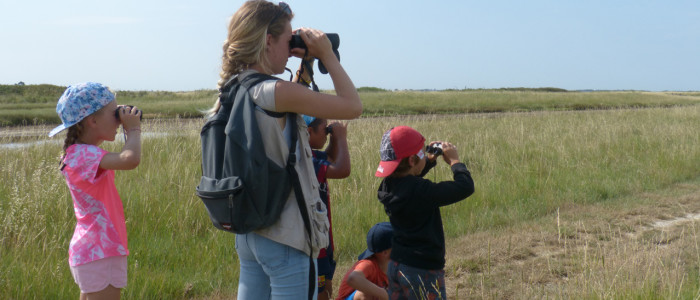 Reserve Moeze Oleron LPO Animation Polders