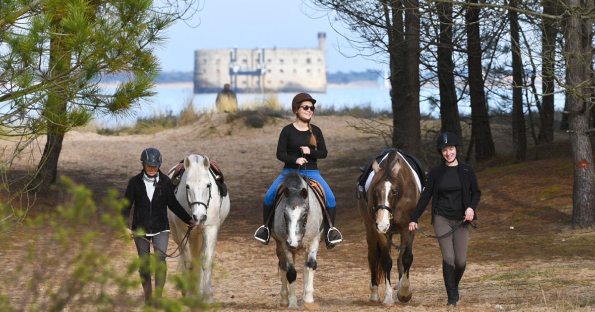 Lacher Les Chevaux