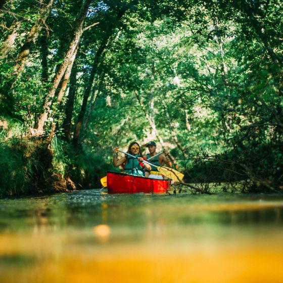 Vacances dans les Landes : nos séjours bas-carbone