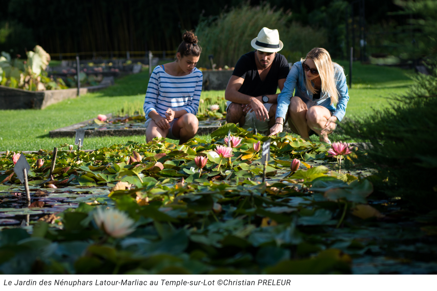 Le Jardin des Nénuphars Latour-Marliac au Temple-sur-Lot 