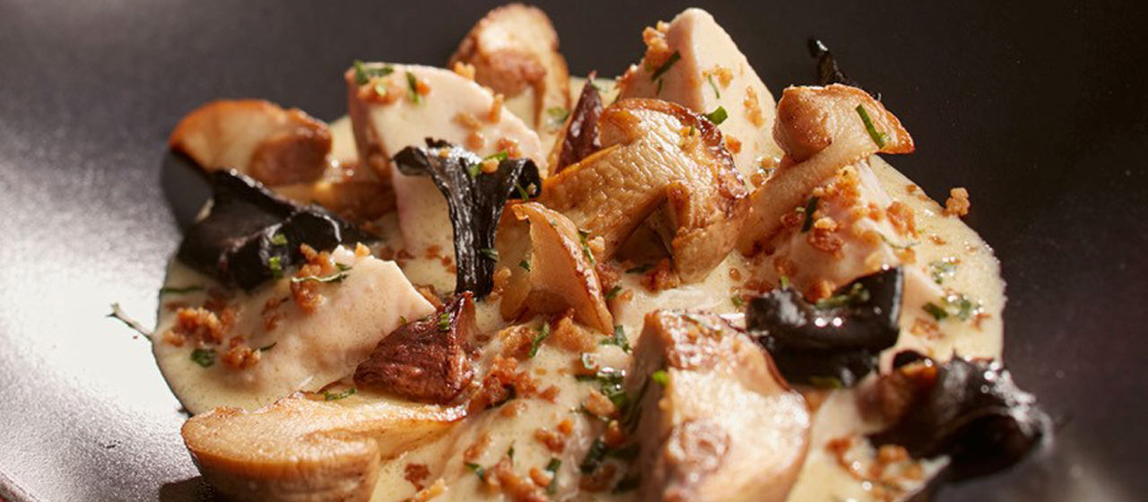 Blanquette de ris de veau au cidre basque, champignons et grattons à l’estragon