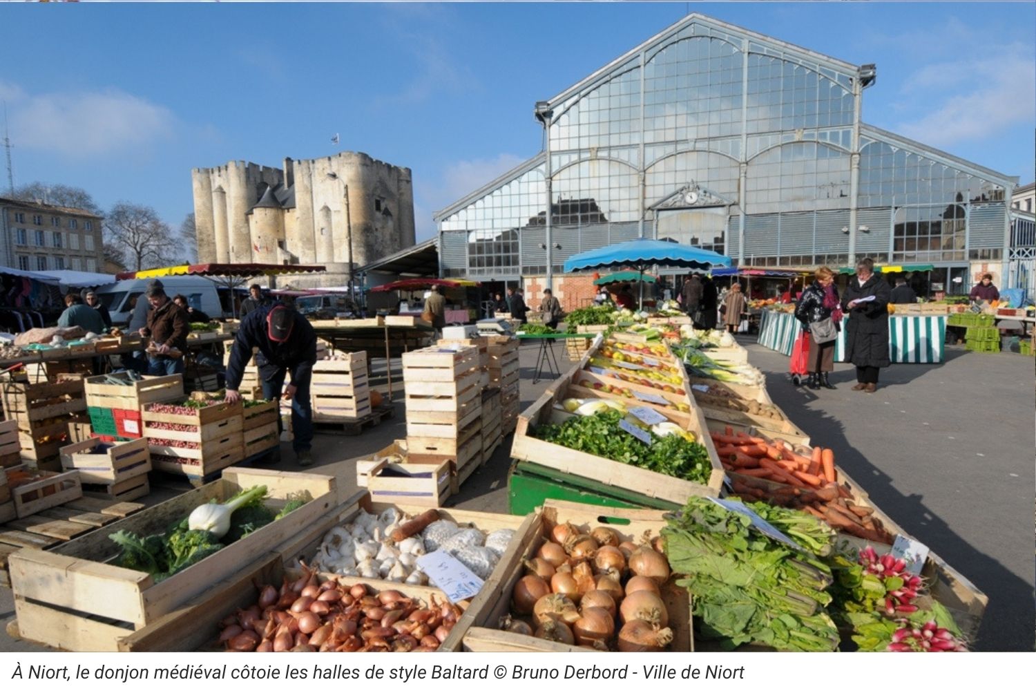 Donjon et Halles de Niort