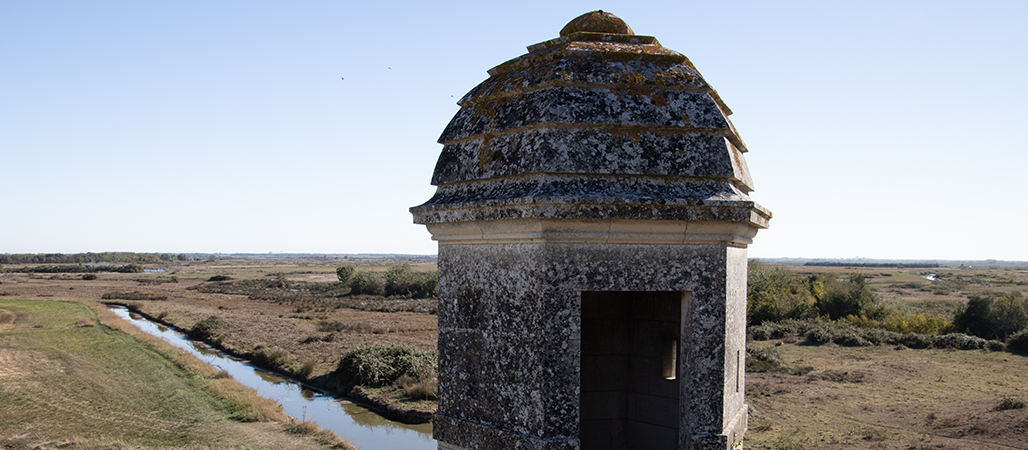 Marais de Brouage_ Vue depuis la Citadelle