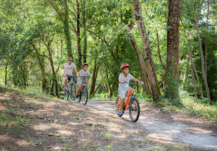 Balade à vélo dans le PNR Landes de Gascogne