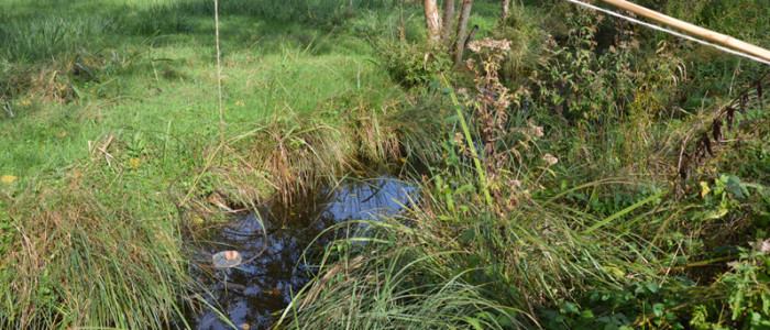 Pêche écrevisse les bons spots