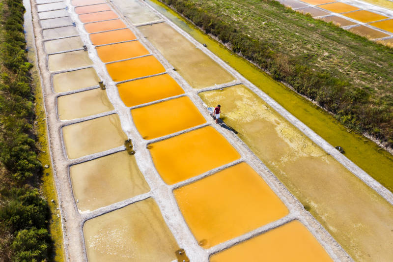 Les îles charentaises