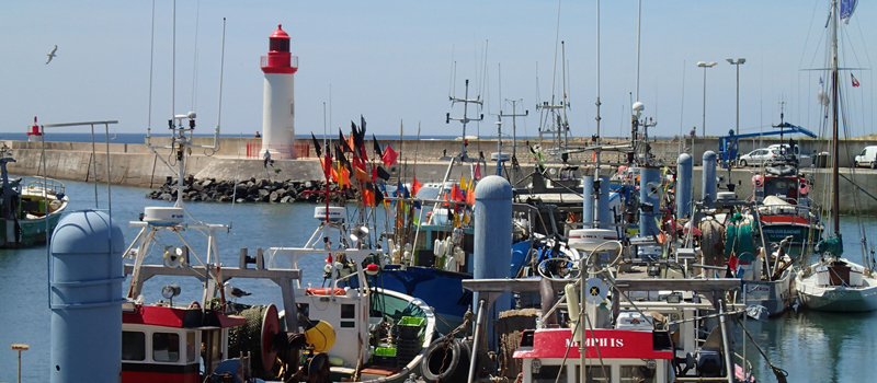 Port de La Cotiniere ©S.COUSIN/CRTNA