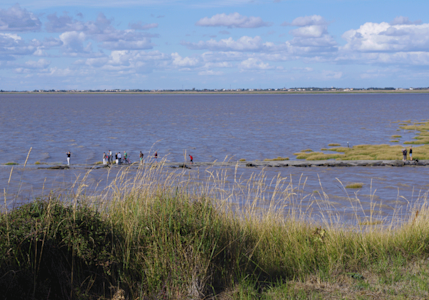 Réserve naturelle de la Baie de l'Aiguillon - balade