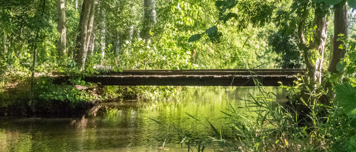 Ponts et passerelles du Marais poitevin.