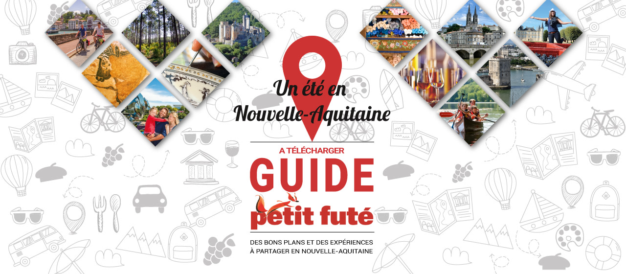 Le guide Le Petit Futé NA