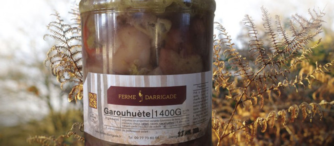 Soustons : des cacahuètes uniques au monde à la Ferme Darrigade