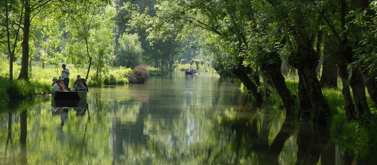 Marais poitevin balade en barque dans la Venise Verte