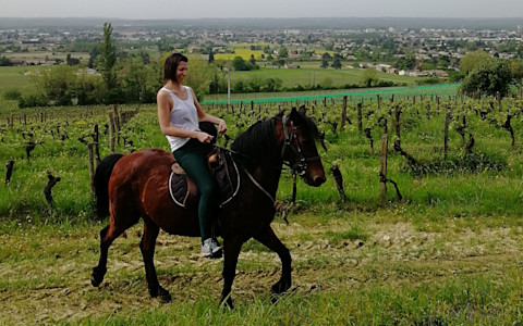 Galoper dans les vignes.