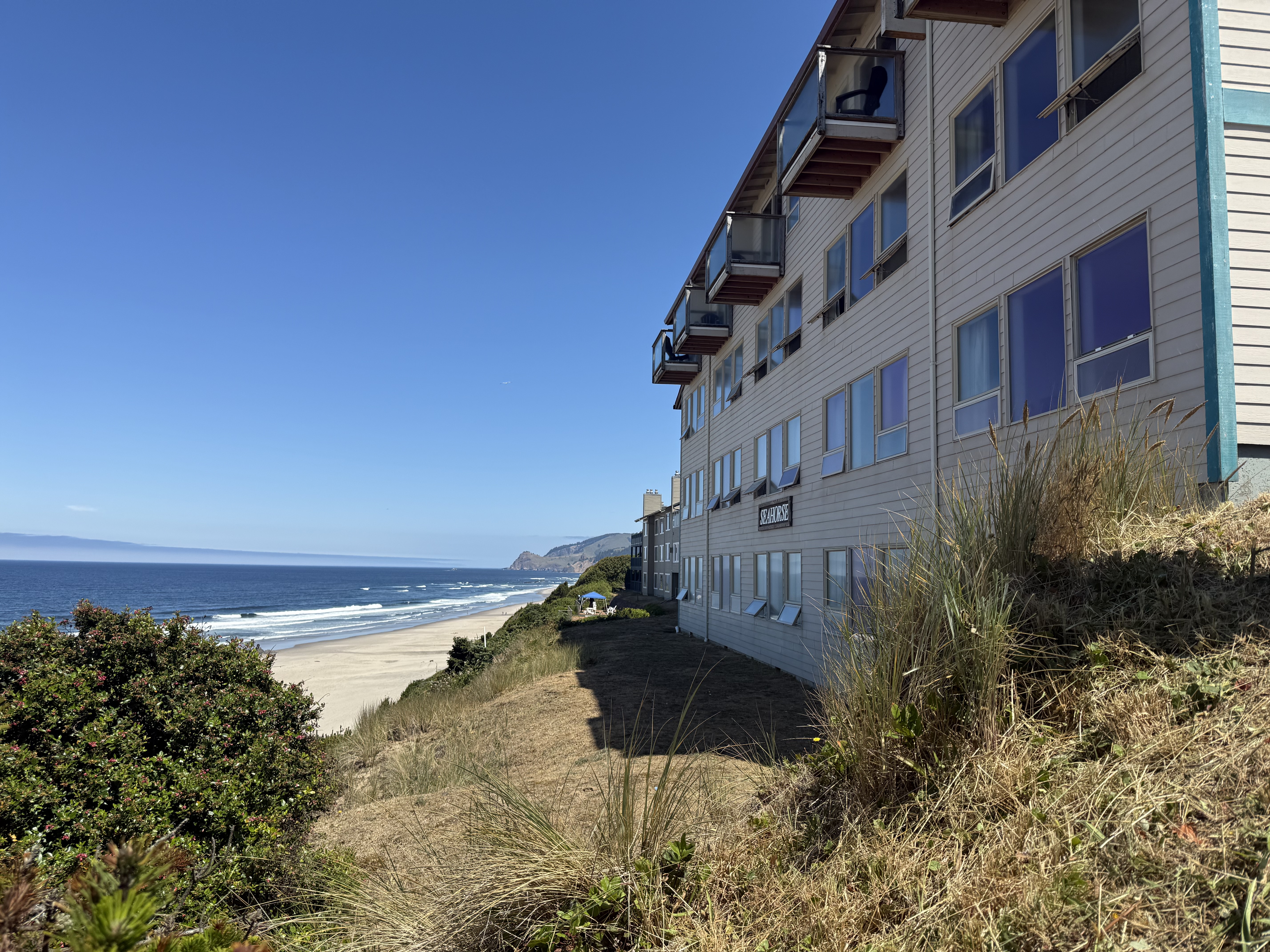 The Seahorse Oceanfront Lodge Hotel
