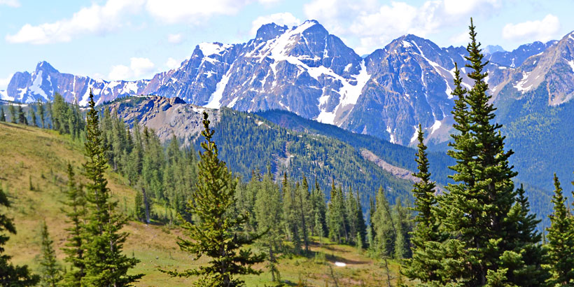 wilderness head