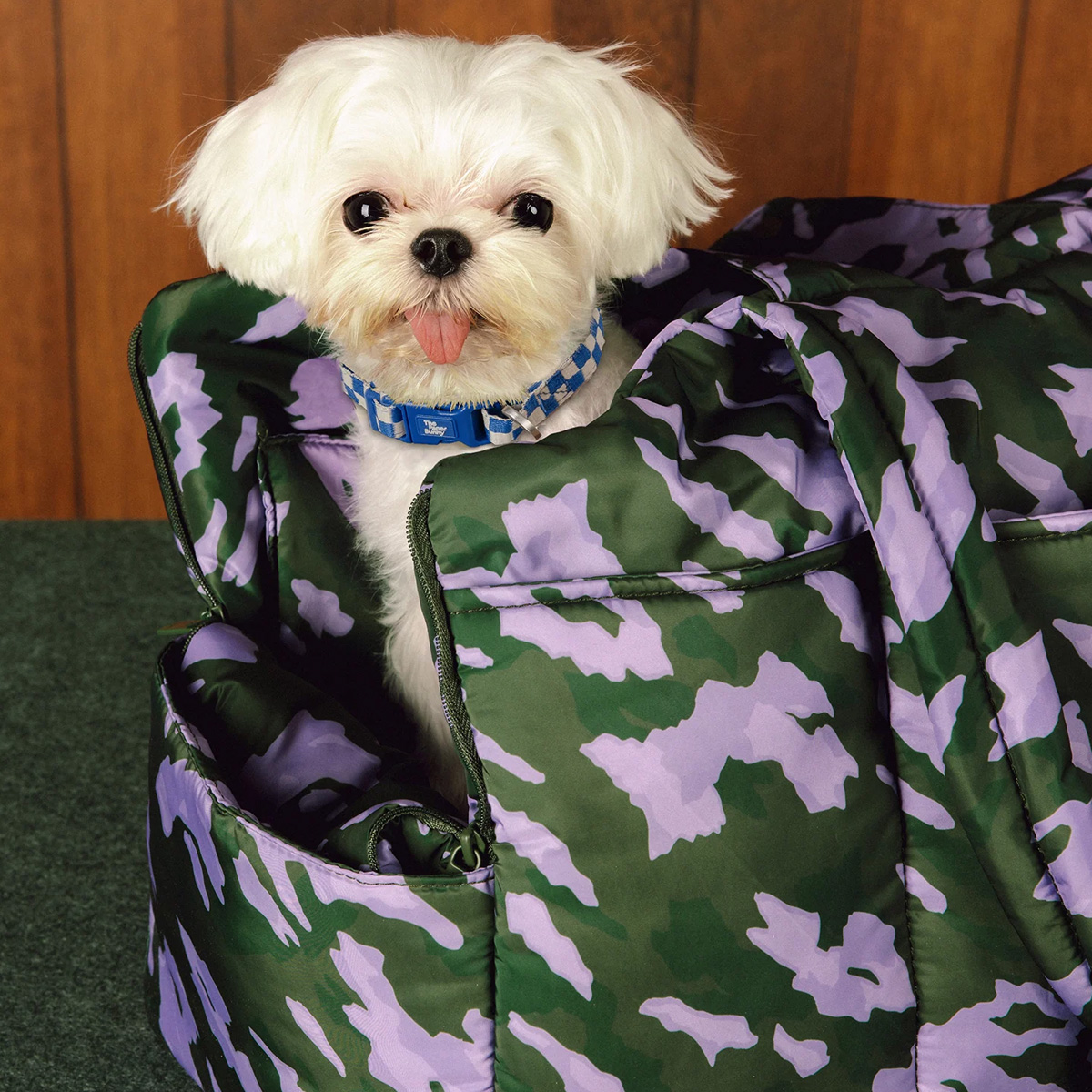 TPB’s The Porter is the stylish travel bag your pet deserves