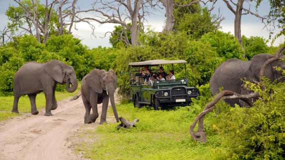 Kruger National Park Safari - South Africa Safari Tour - Expat Explore