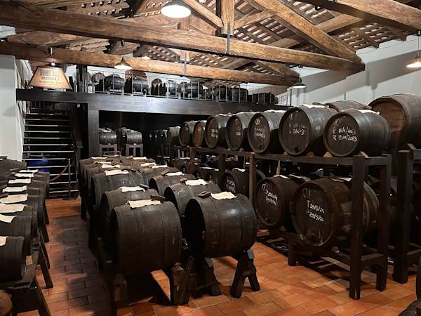 Stephanie on tour