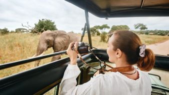 kruger-safari-south-africa-elephants-viewed-from-game-drive