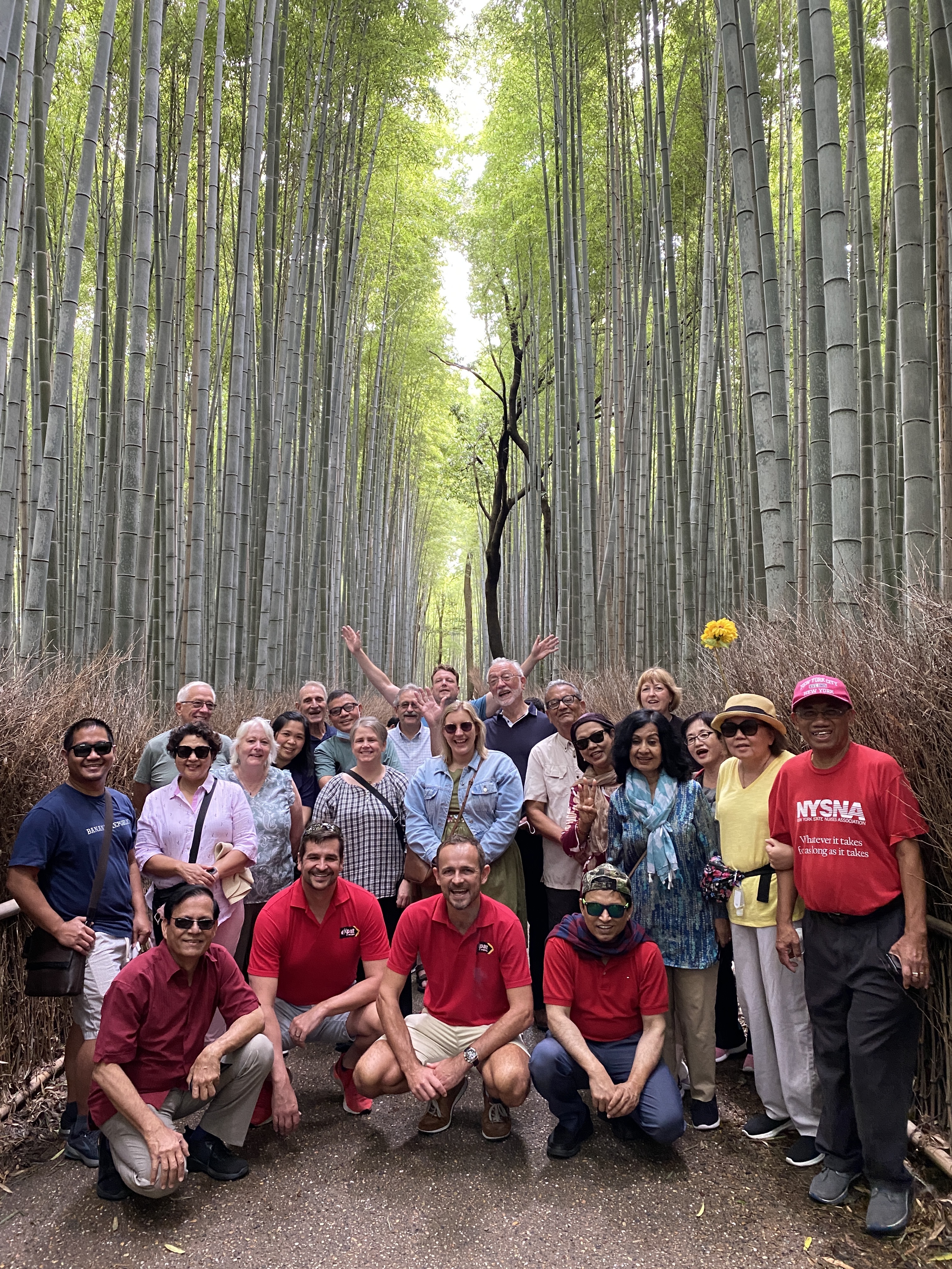 carl-expat-explore-japan-arashiyama-bamboo-forest