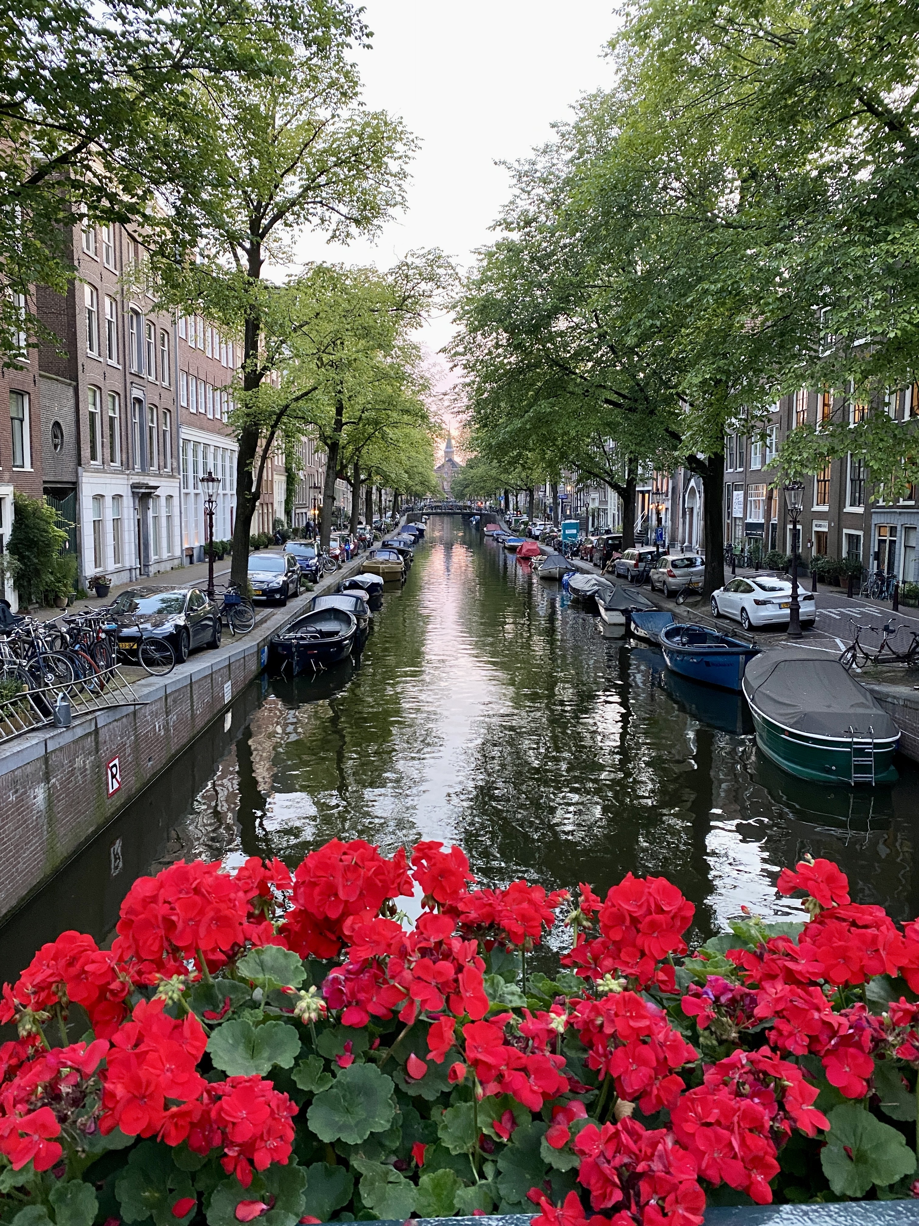 expat-explore-travelindepression-netherlands-amsterdam
