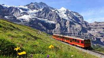 Swiss Alps: Free Day