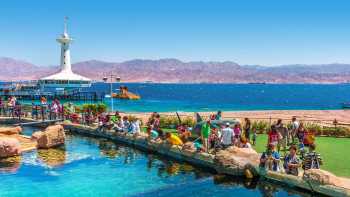 Eilat: Free Day