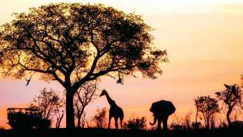 Kruger National Park Region