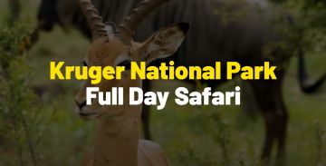 Kruger-National-Park-video-thumbnail