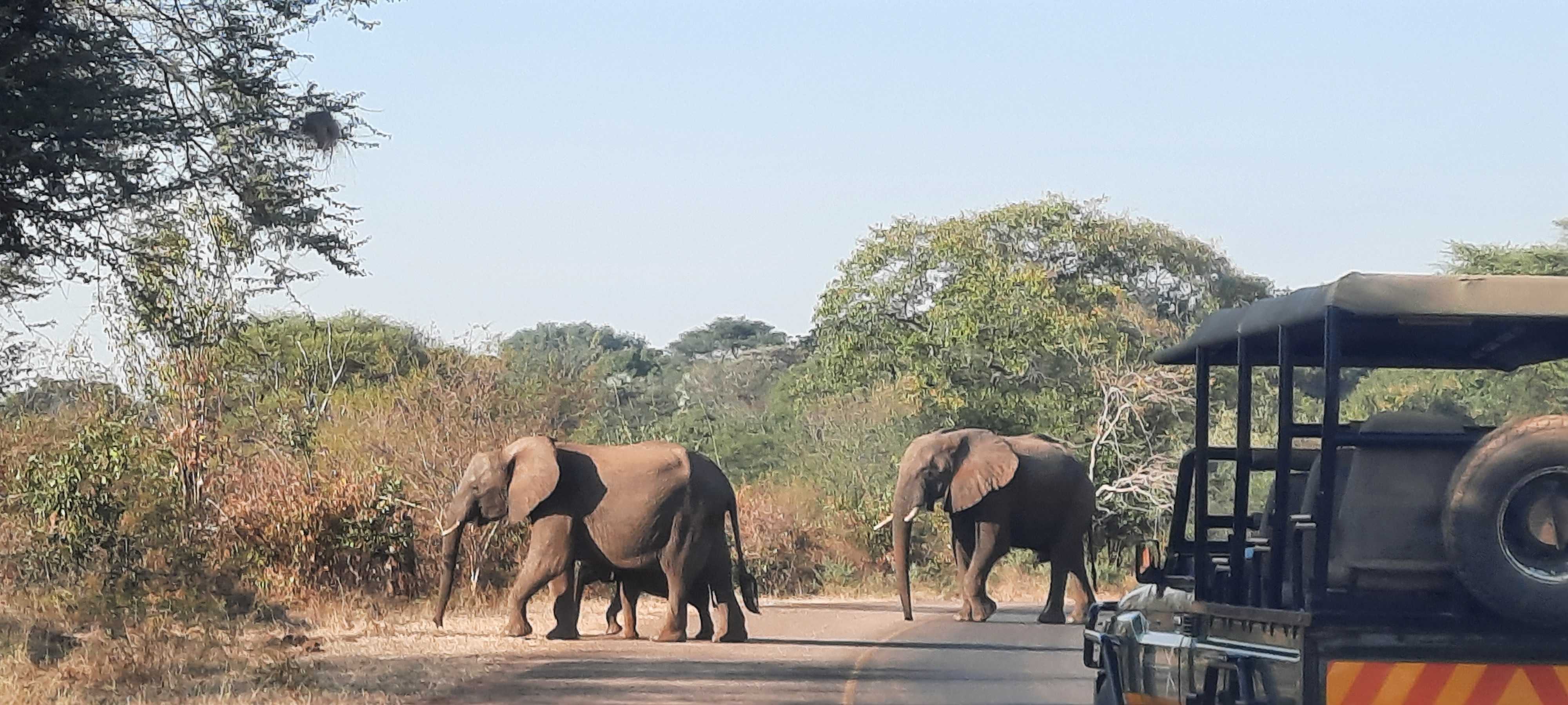 expat-explore-tour-leader-tips-travel-experts-willem-south-africa (8)