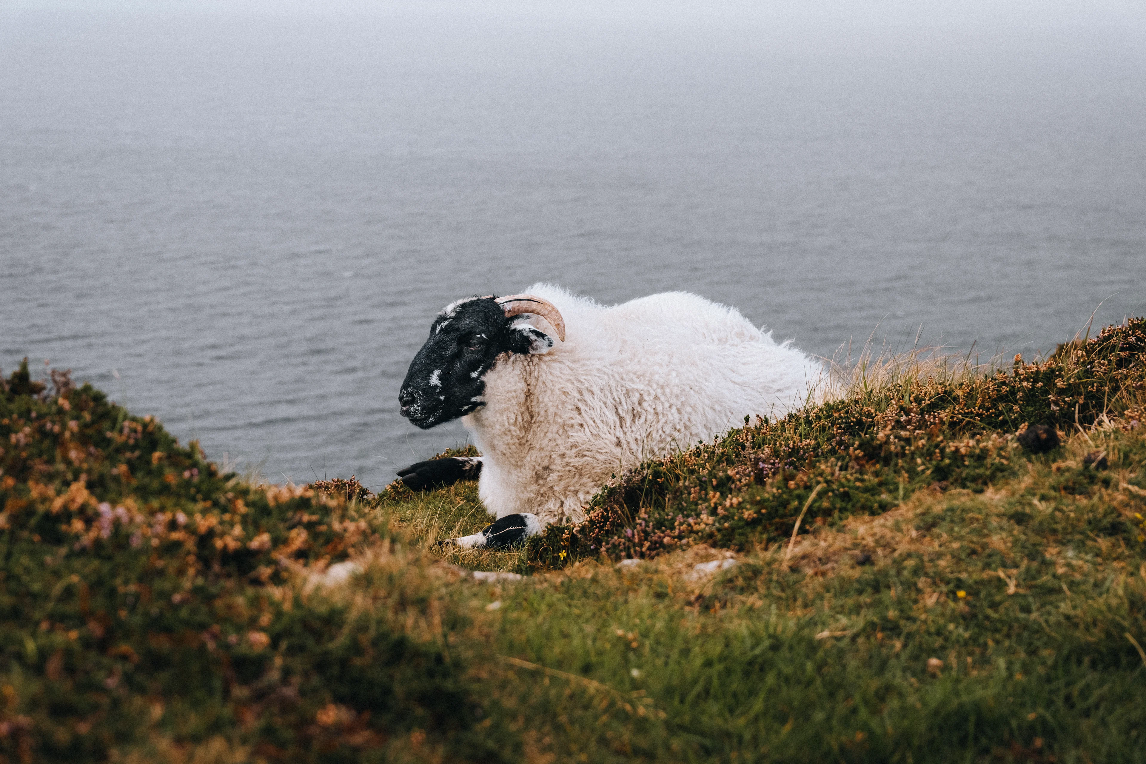 Northern Ireland 010