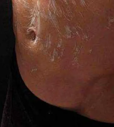 Banner of blog named How to Shave Your Pubic Hair - A Step-by-Step Guide