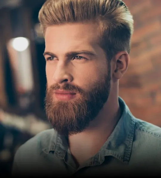 15 best beard styles card