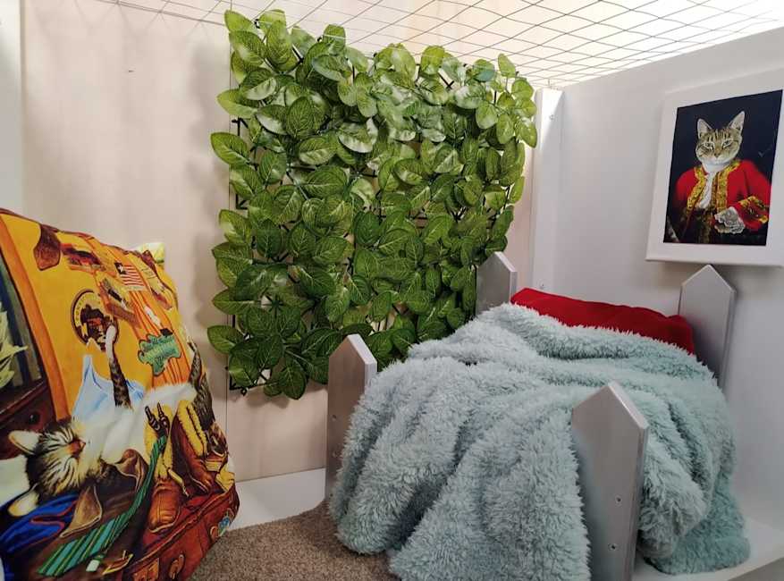 Rooms Image