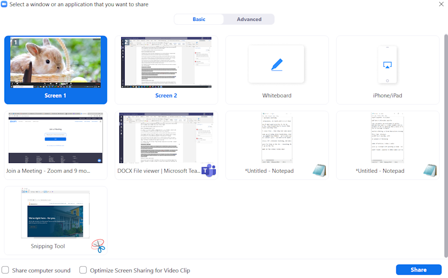 Springboard's guide to Zoom Sharing, Whiteboards and Breakout Rooms