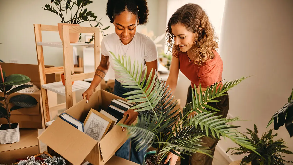 About Mold & Mildew Two women unpacking boxes of books, pictures and plants