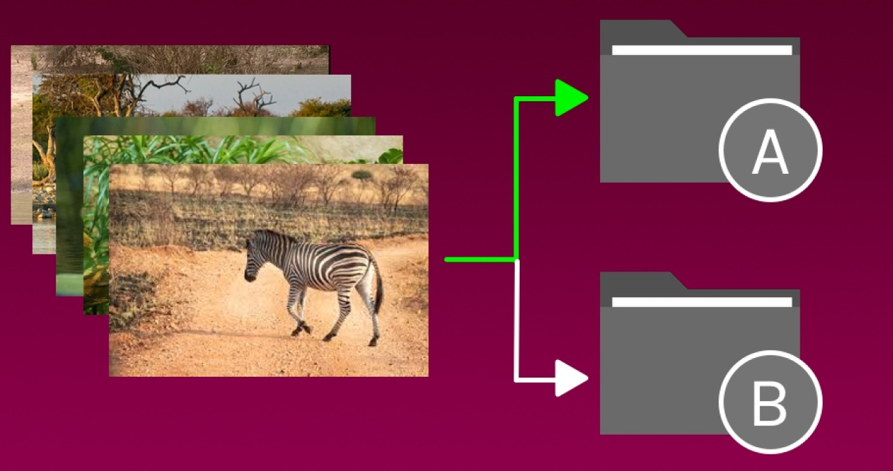Using a Computer Vision Classifier to Sort Images Featured Image