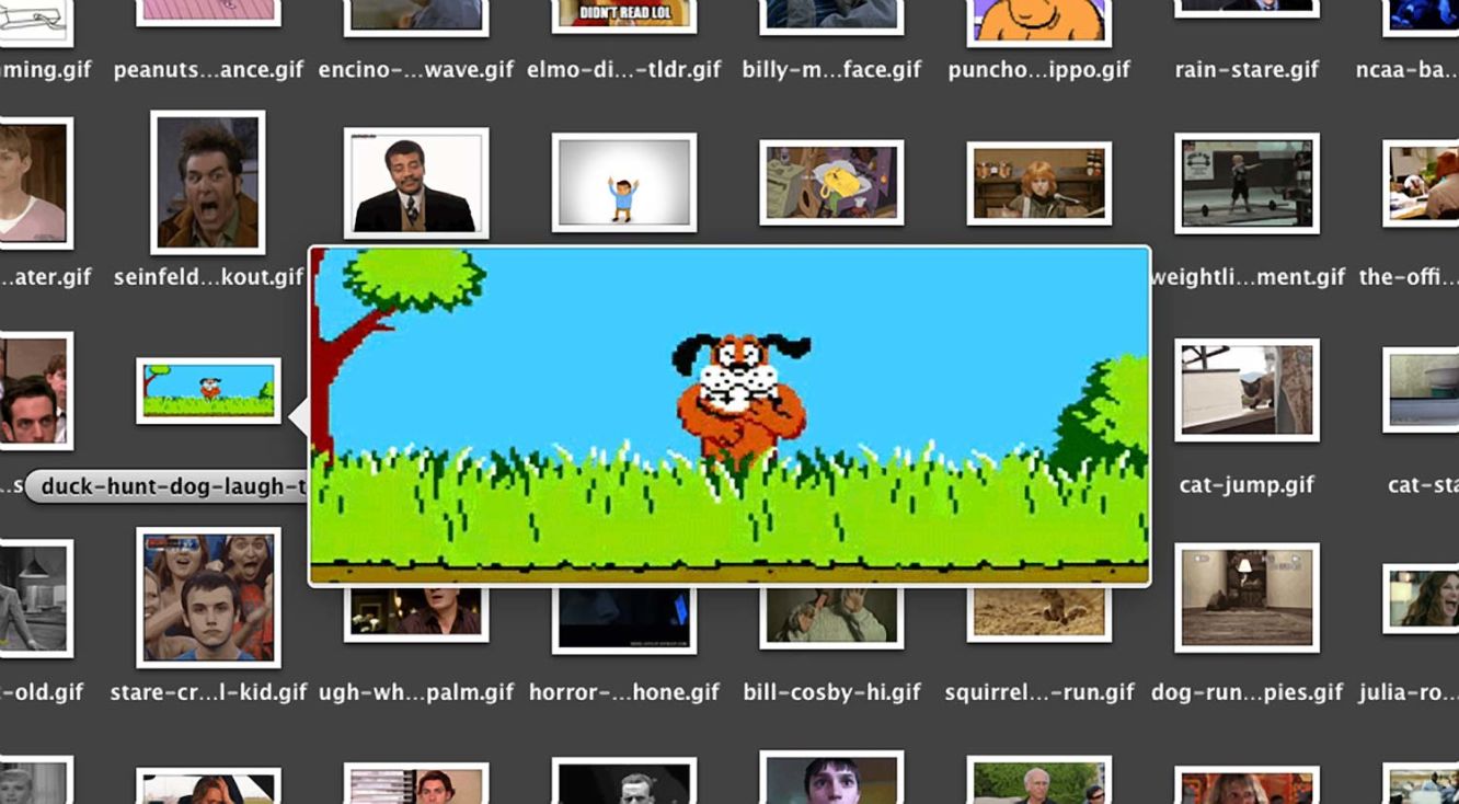 laughing dog duck hunt gif
