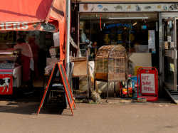 Pythons found snaking queue at fishmongers