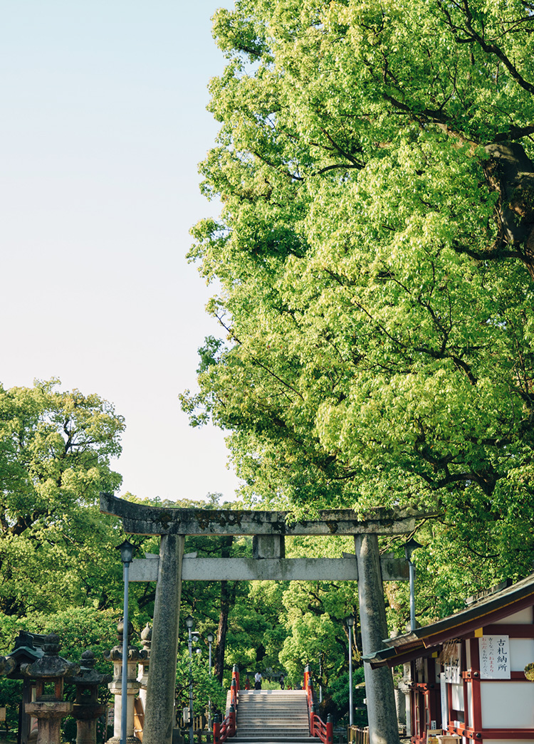 探索神社| 太宰府天滿宮