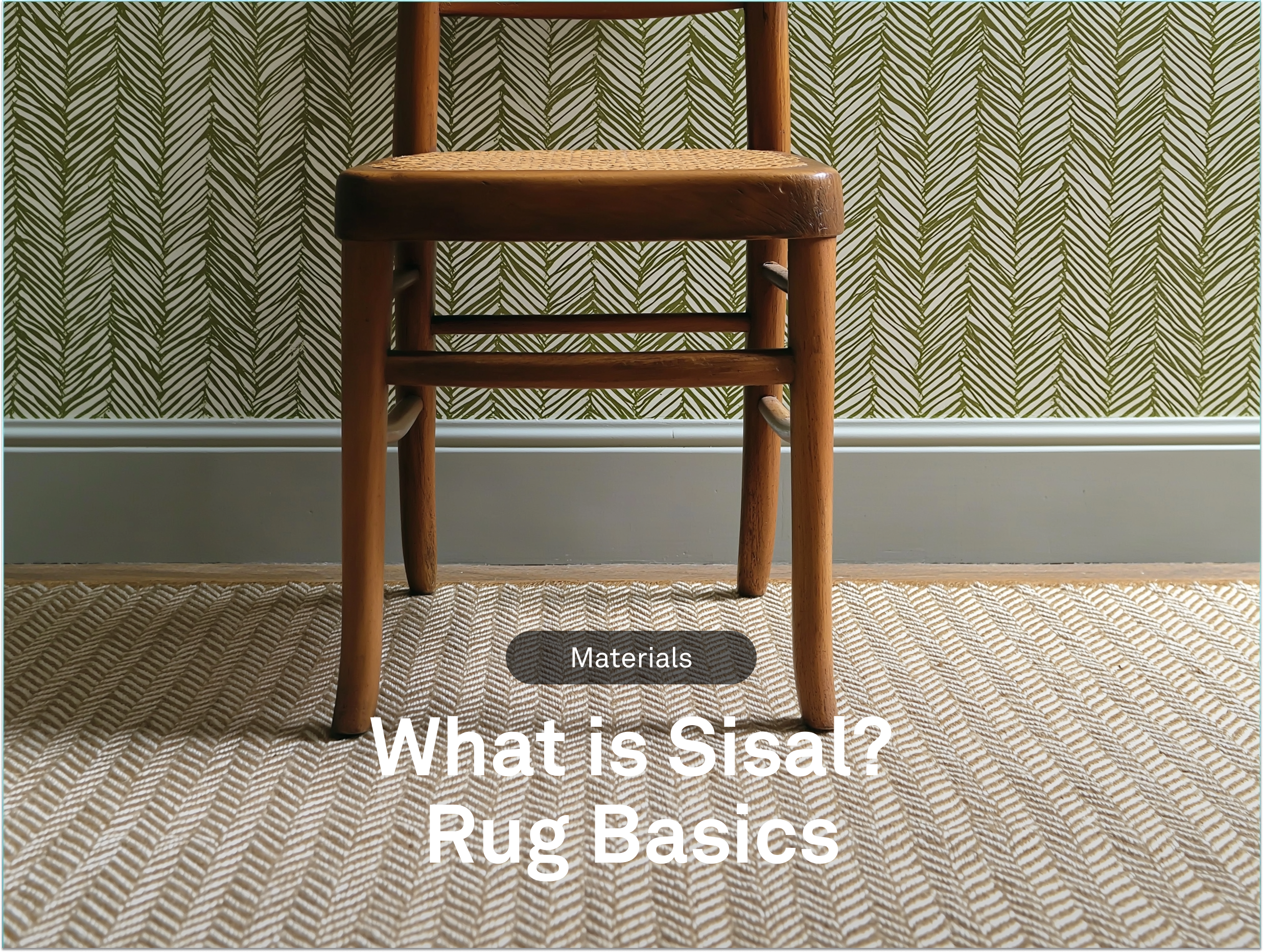 Sisal Rug Samples | DesignShop | DesignShop