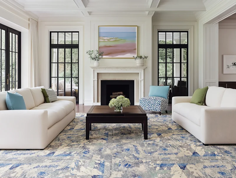 Living Room Area Rug