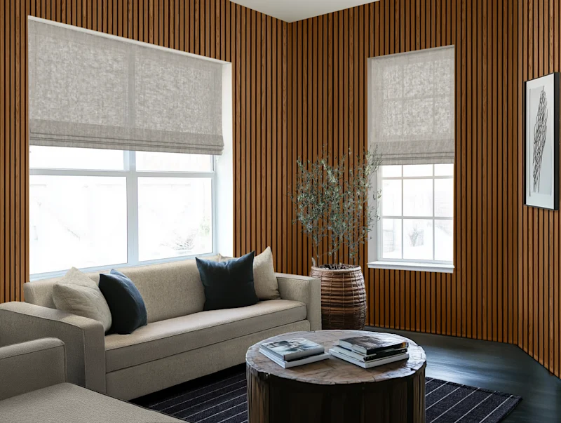 Living Room Paneling