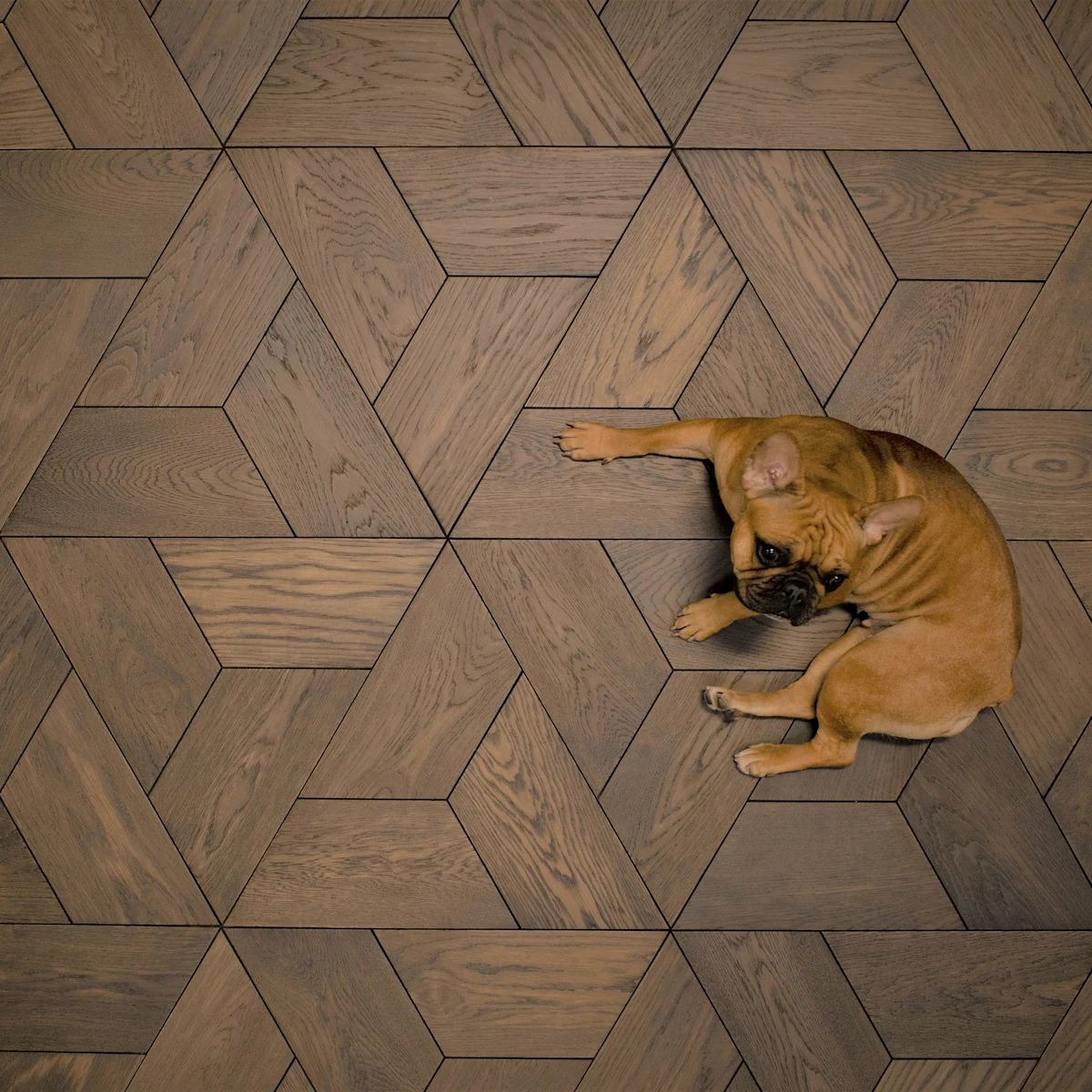 Bergamo_Floors_Header_v2 (1).jpg