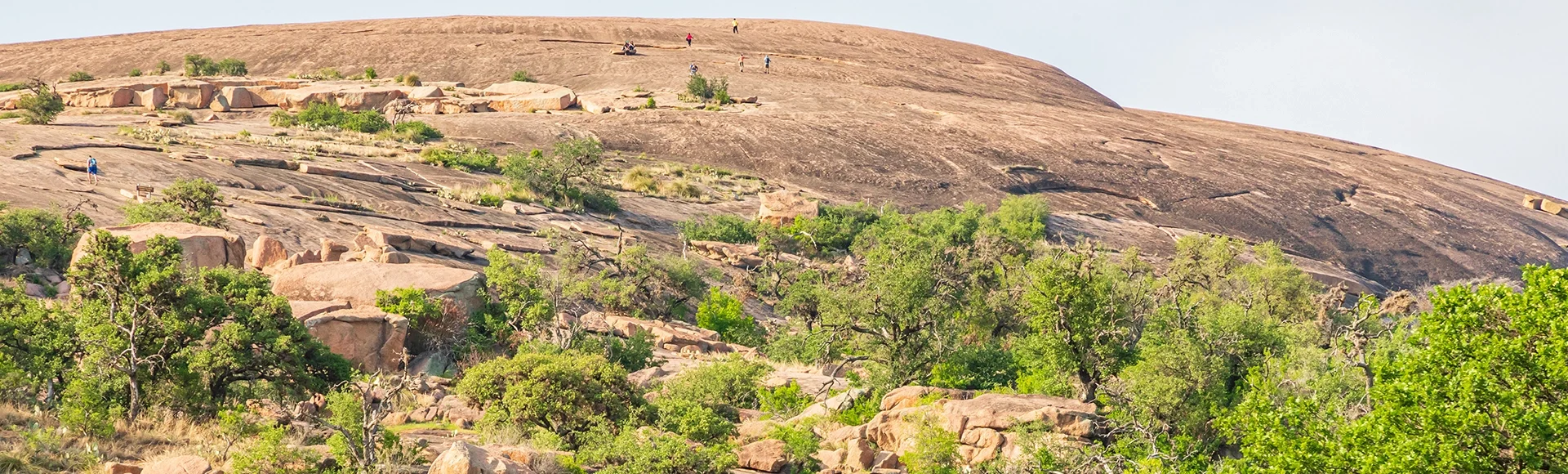Bed rock hill in the Texas hill country.
